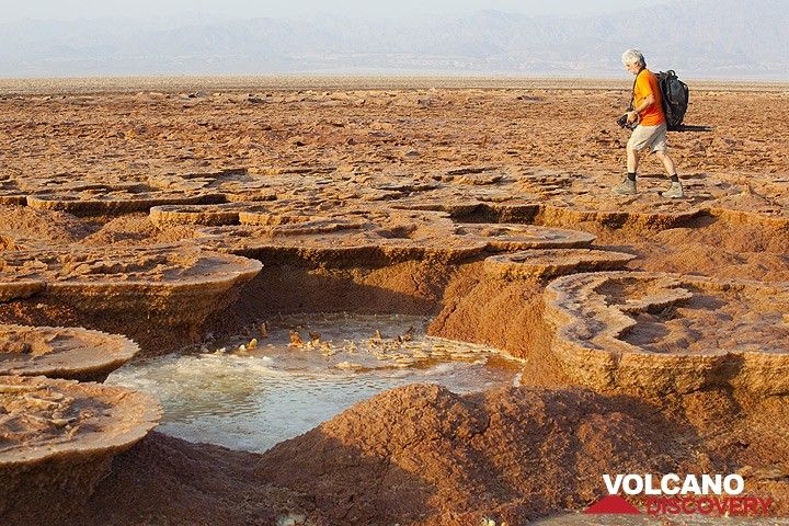 dallol_i41181.jpg